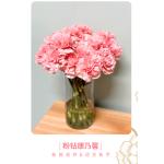 Carnation